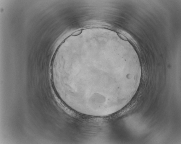 X0000067391431200604211622