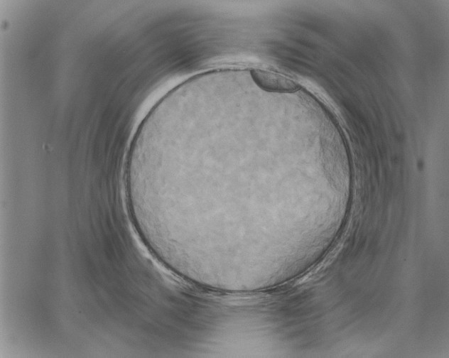 X0000067391440200604211622