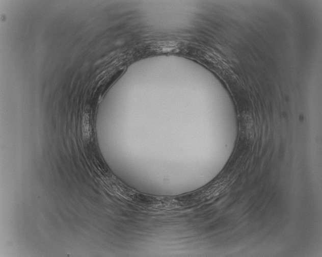 X0000067391442200604211621