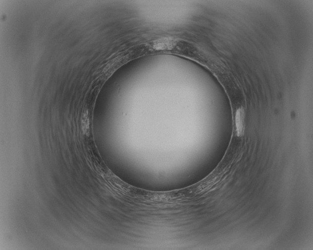 X0000067391443200604211621