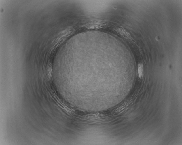 X0000067391444200604211621