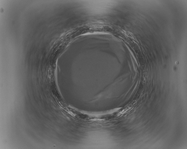 X0000067391445200604211621