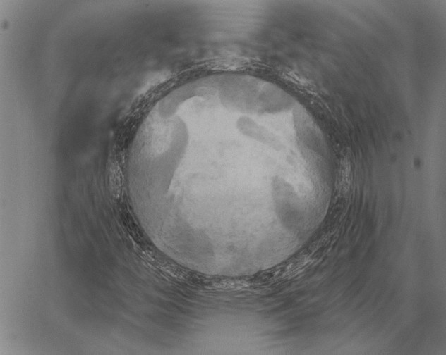 X0000067391446200604211621