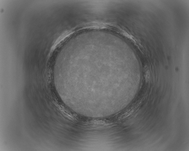 X0000067391448200604211621