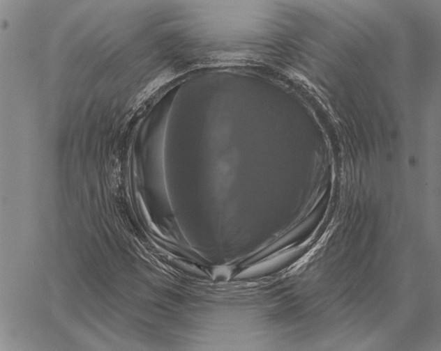 X0000067391449200604211621