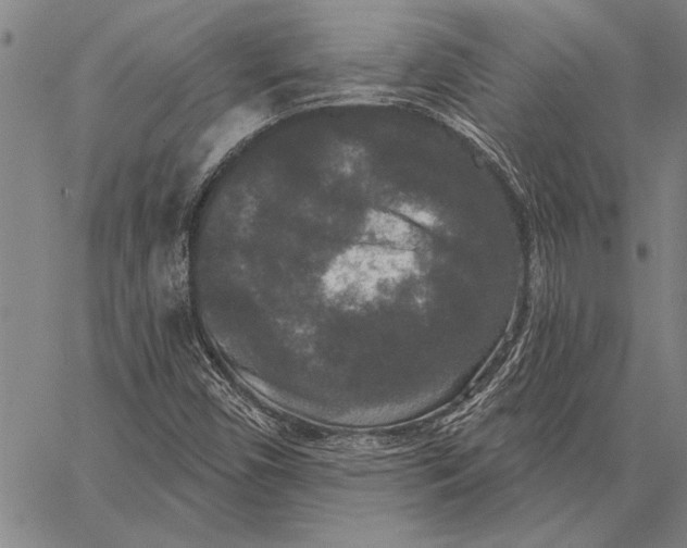 X0000067391450200604211621