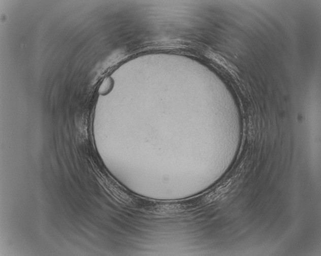 X0000067391451200604211621