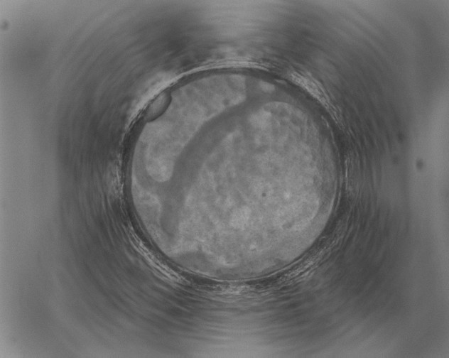 X0000067391452200604211621