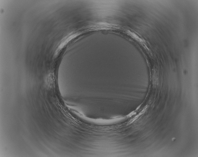 X0000067391453200604211621