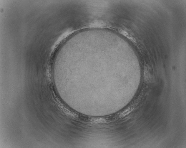 X0000067391454200604211621