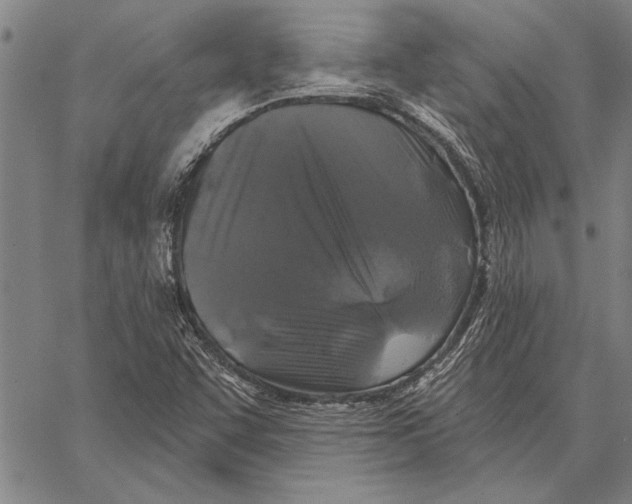 X0000067391455200604211621