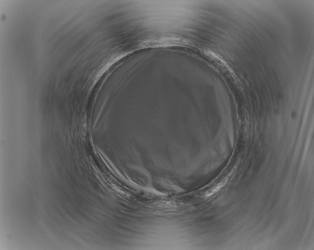 X0000067391457200604211621