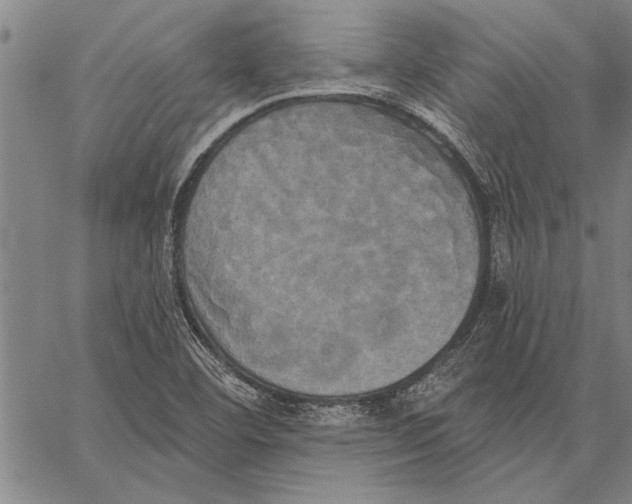 X0000067391460200604211621