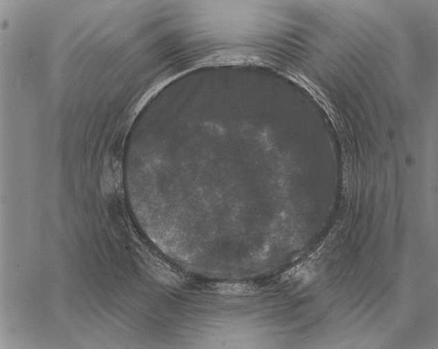 X0000067391465200604211621