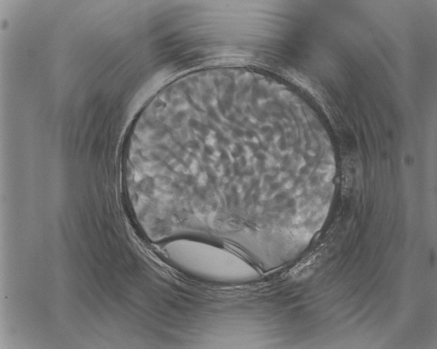 X0000067391467200604211621