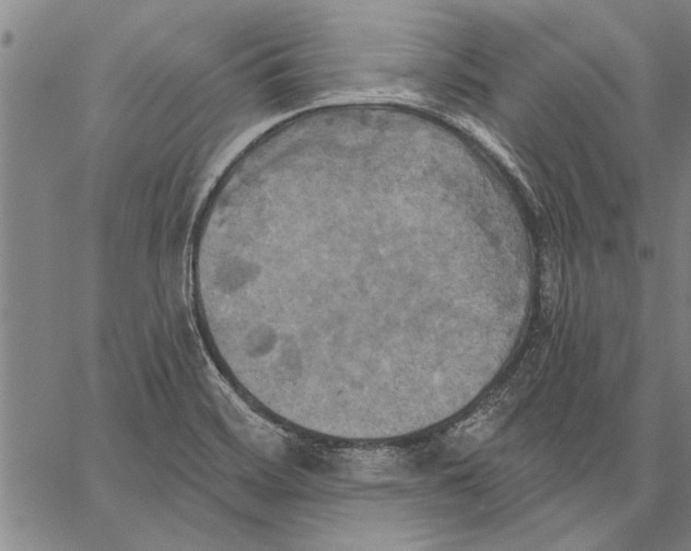 X0000067391468200604211621