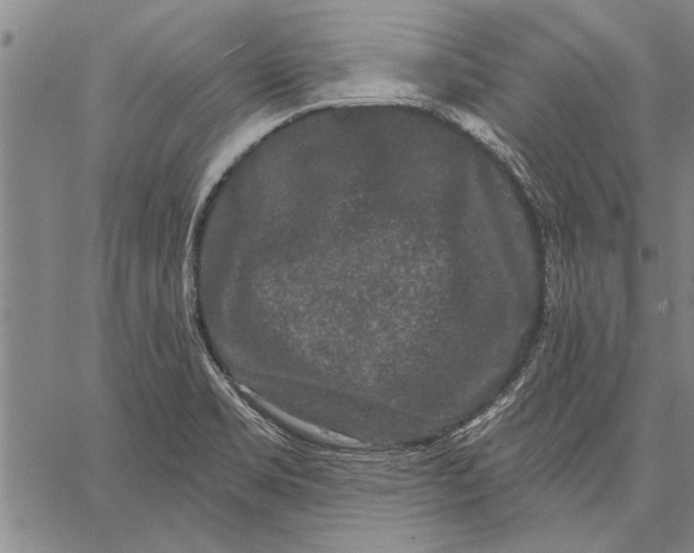 X0000067391469200604211621