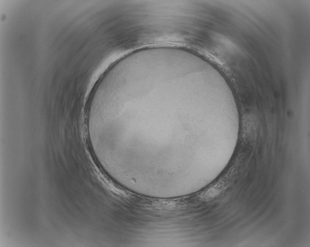 X0000067391470200604211621