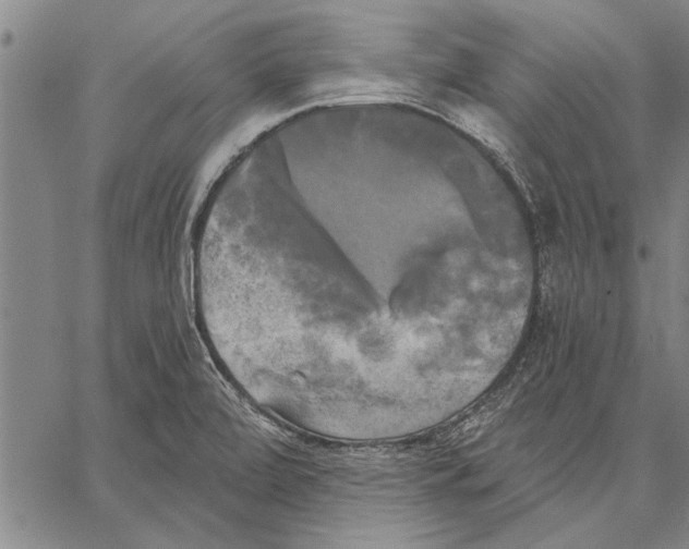 X0000067391472200604211621