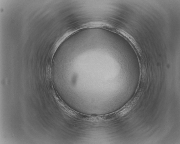 X0000067391473200604211621