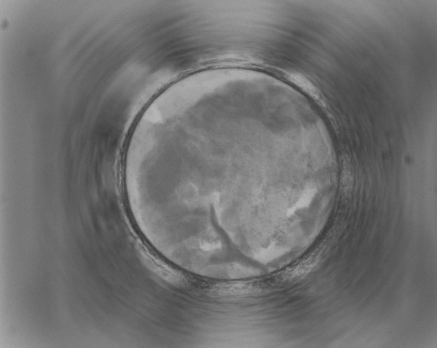 X0000067391474200604211621