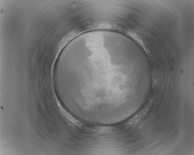 X0000067391475200604211621