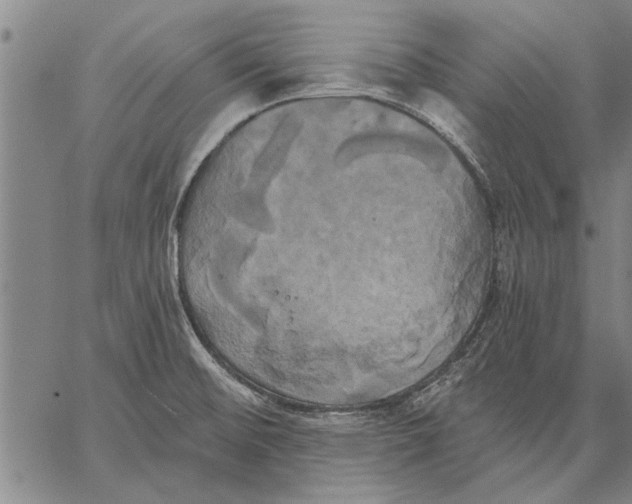 X0000067391476200604211621