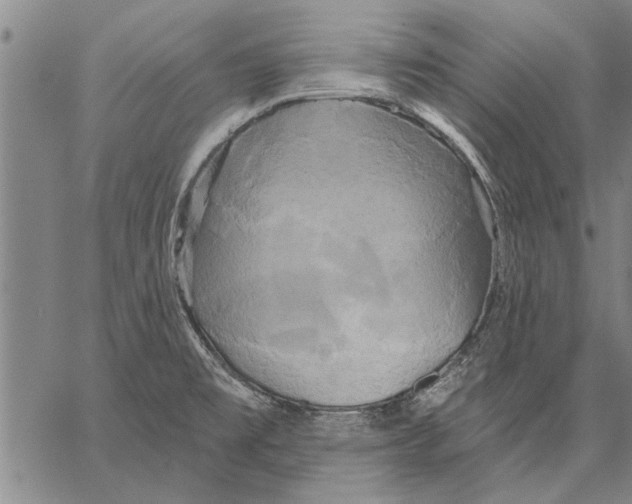 X0000067391477200604211621