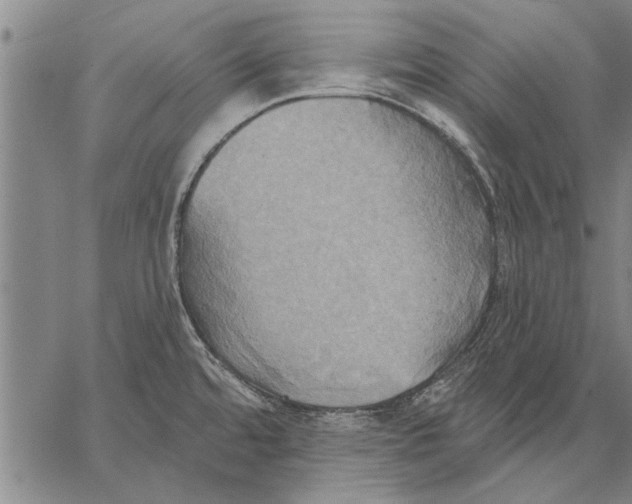 X0000067391480200604211621