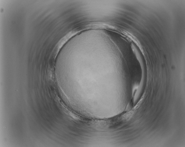 X0000067391481200604211621