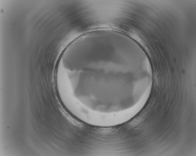 X0000067391482200604211621