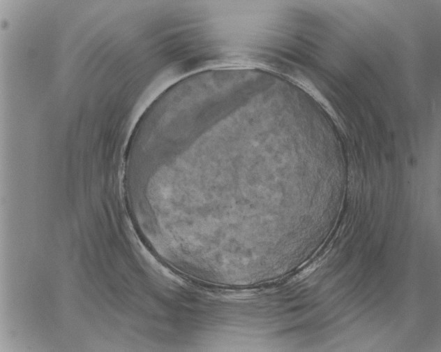 X0000067391484200604211621