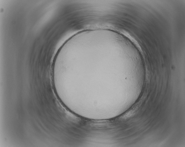 X0000067391486200604211621