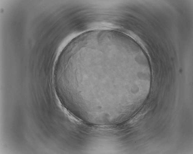 X0000067391488200604211621