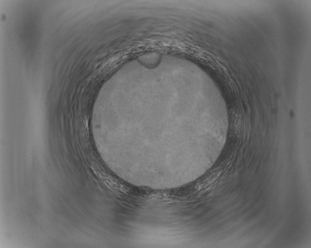 X0000067391489200604211620