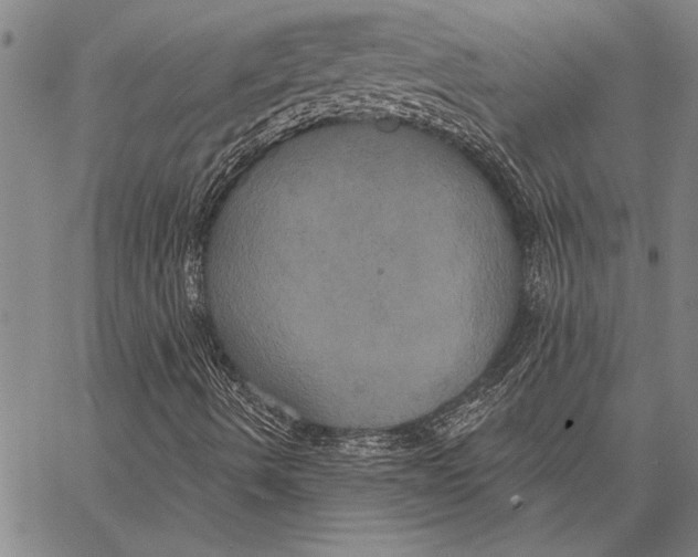 X0000067391490200604211620