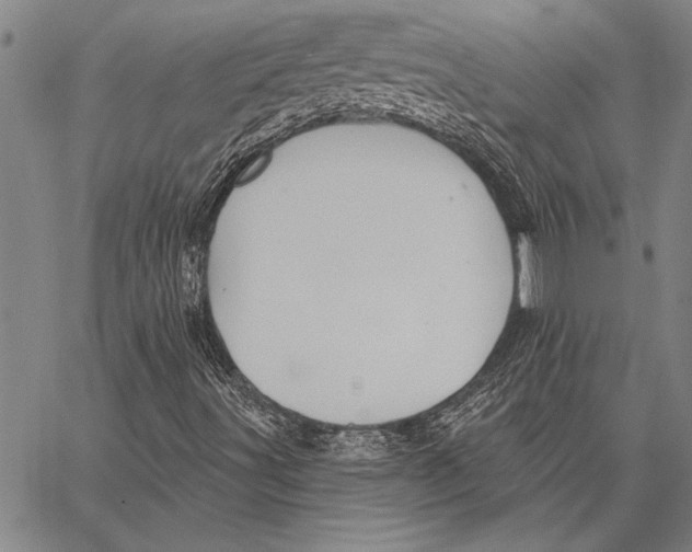 X0000067391491200604211620