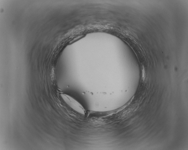 X0000067391492200604211620