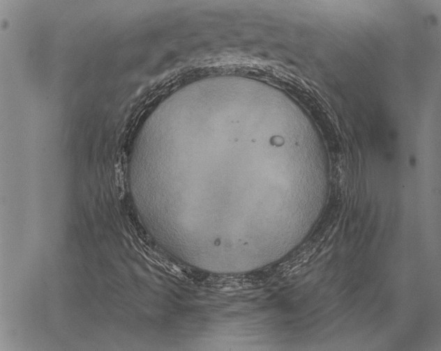 X0000067391493200604211620