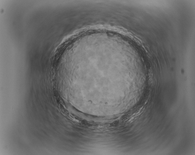 X0000067391494200604211620