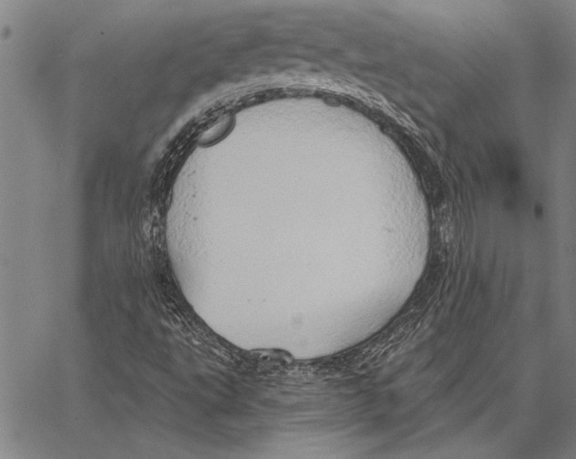 X0000067391495200604211620