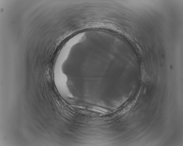 X0000067391497200604211620