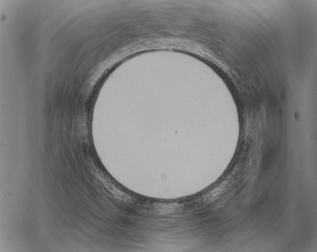 X0000067391498200604211620