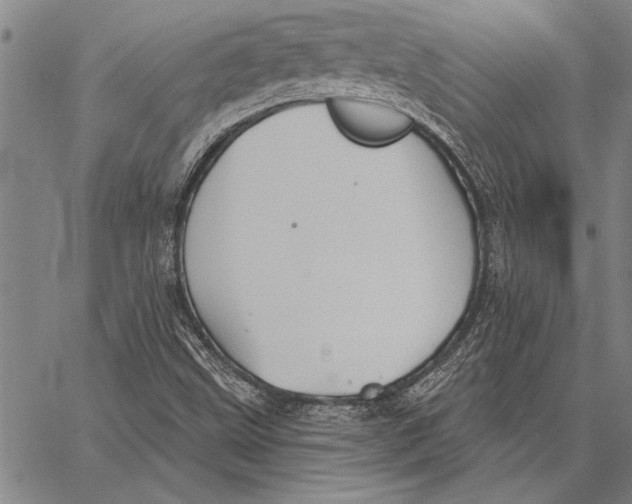 X0000067391499200604211620