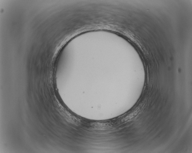 X0000067391500200604211620