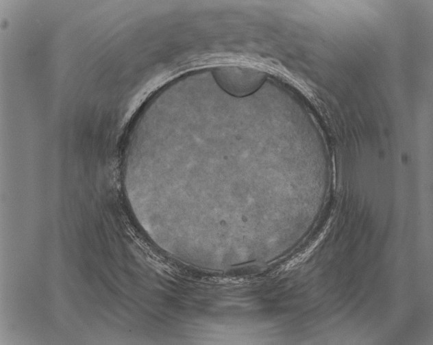 X0000067391501200604211620