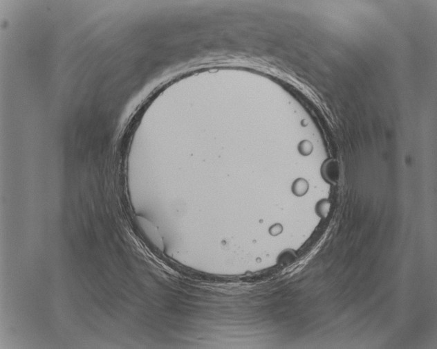 X0000067391502200604211620