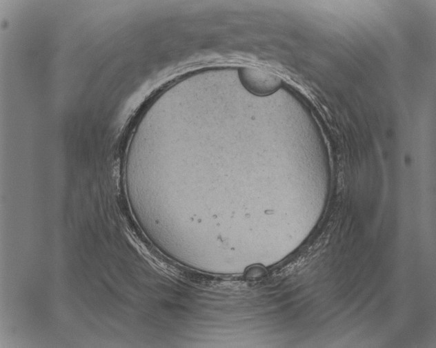 X0000067391503200604211620