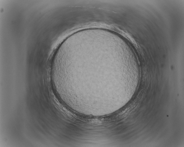 X0000067391504200604211620