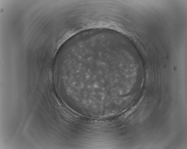 X0000067391505200604211620